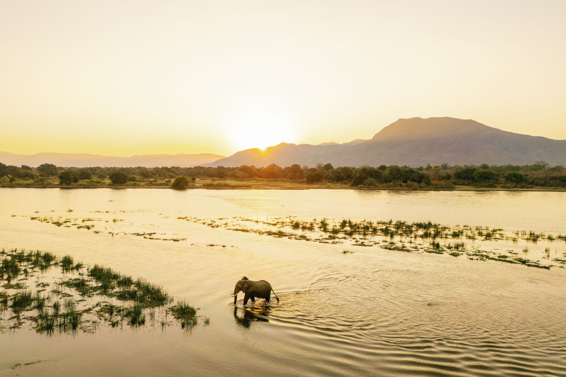 Zambia