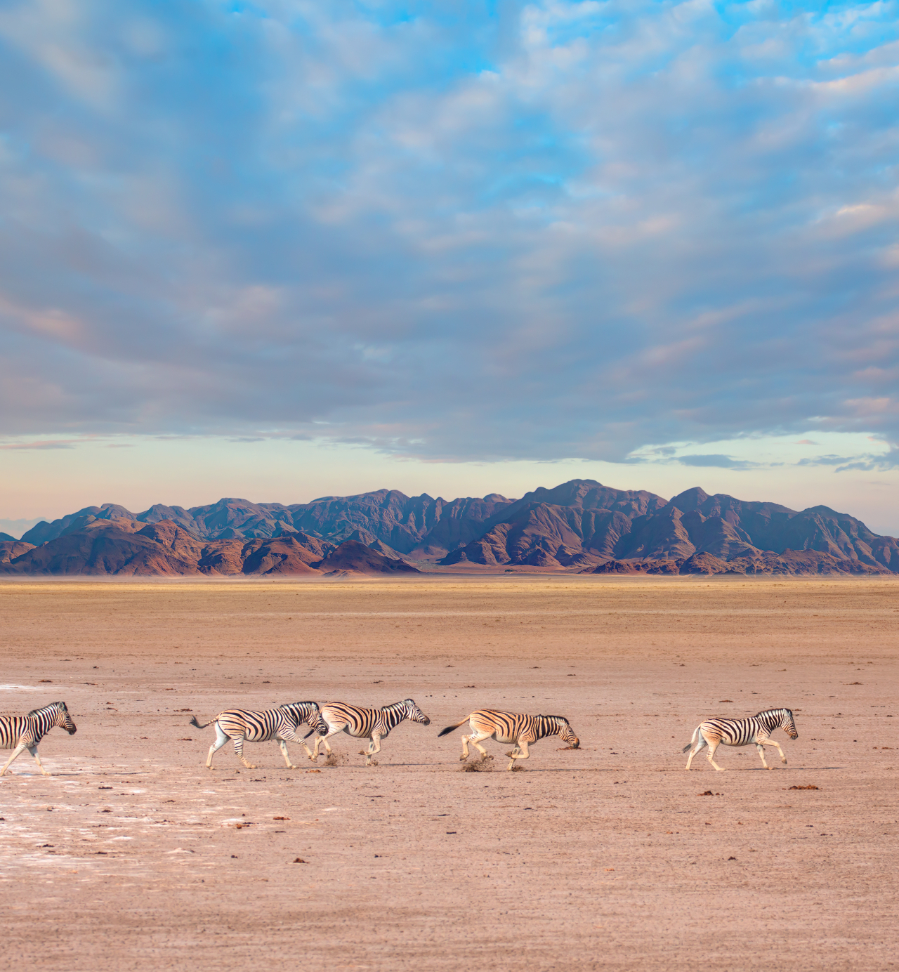 Etosha National Park