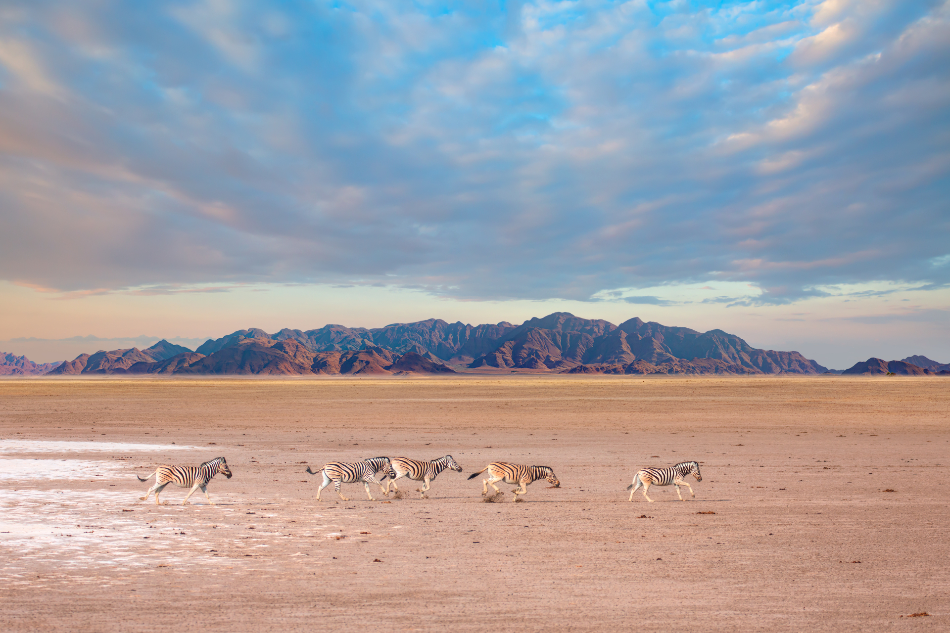 Etosha National Park