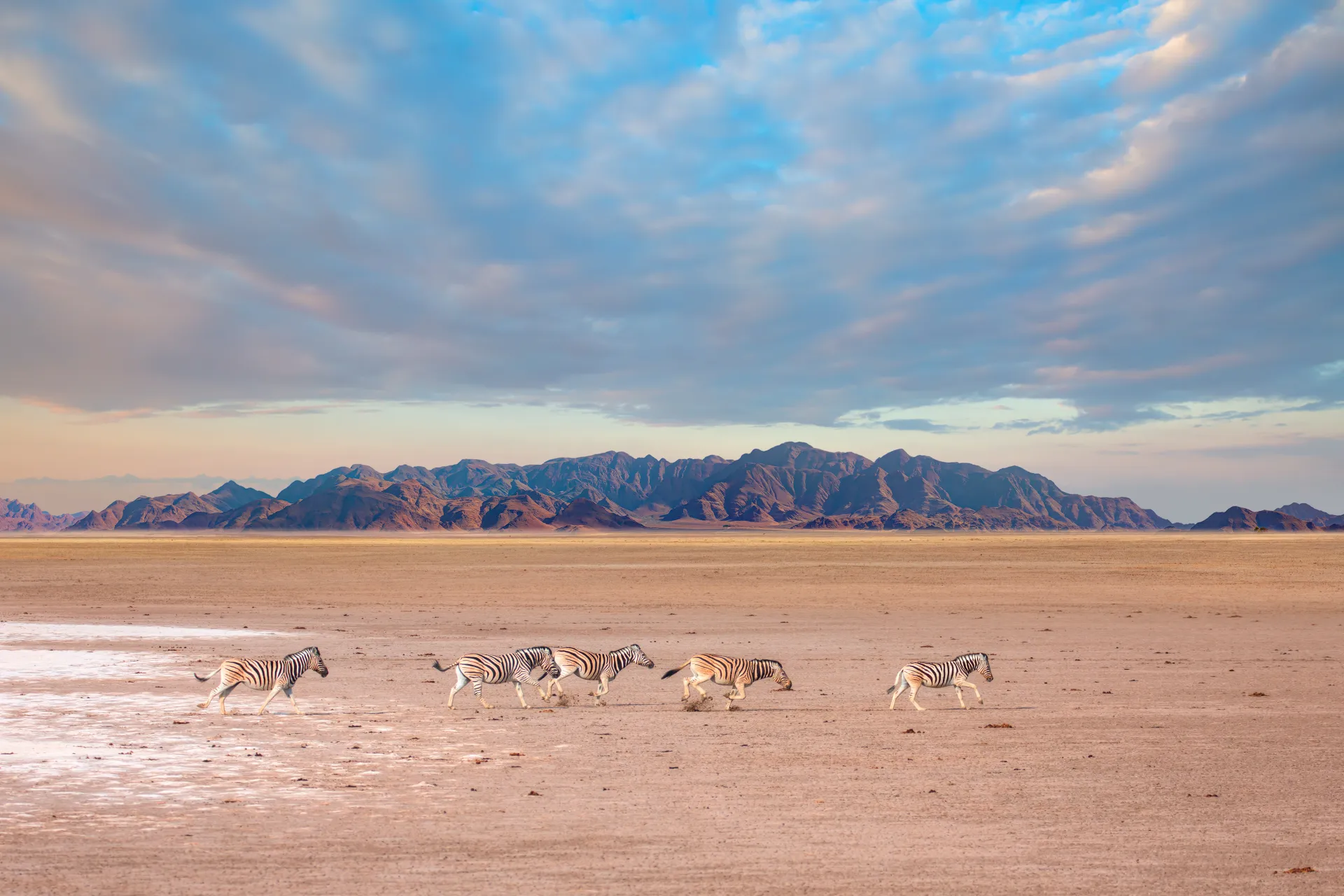 Etosha National Park