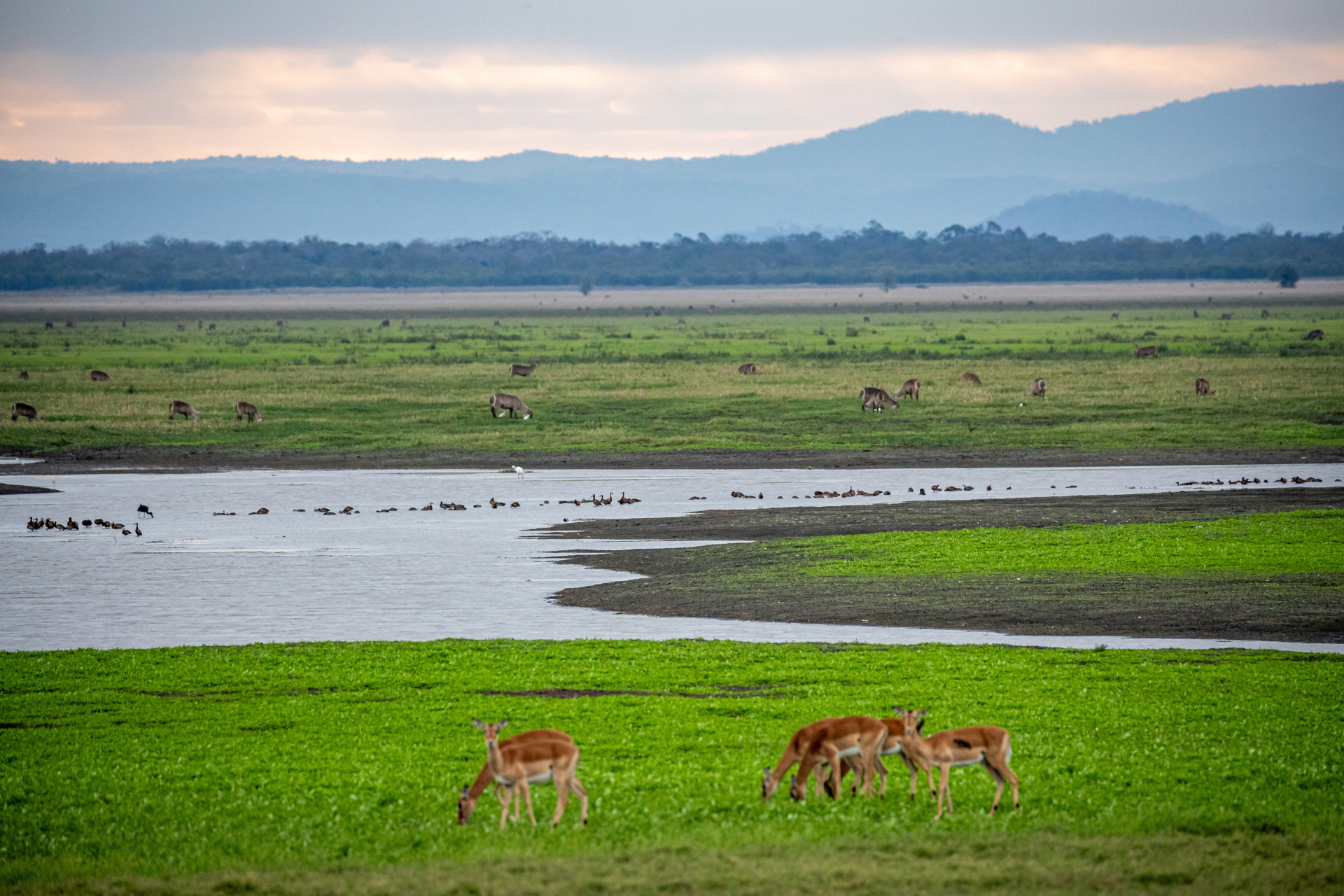 Gorongosa National Park, Mozambique