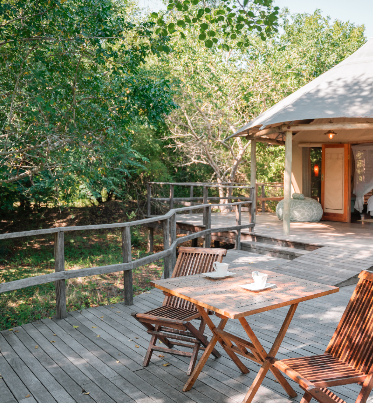 Gorongosa National Park