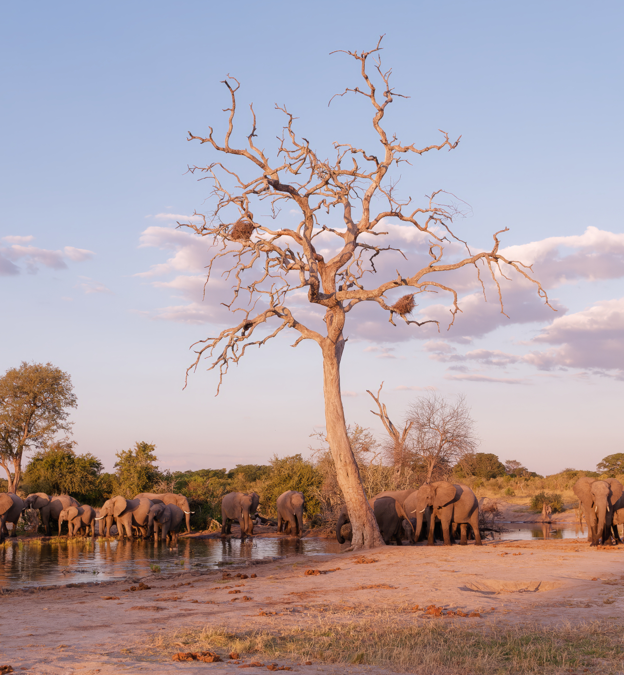 Hwange National Park