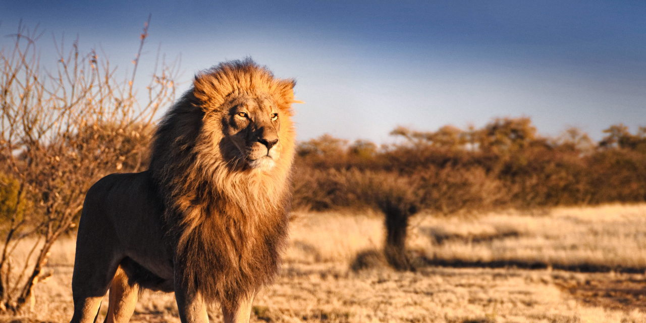 Kruger National Park