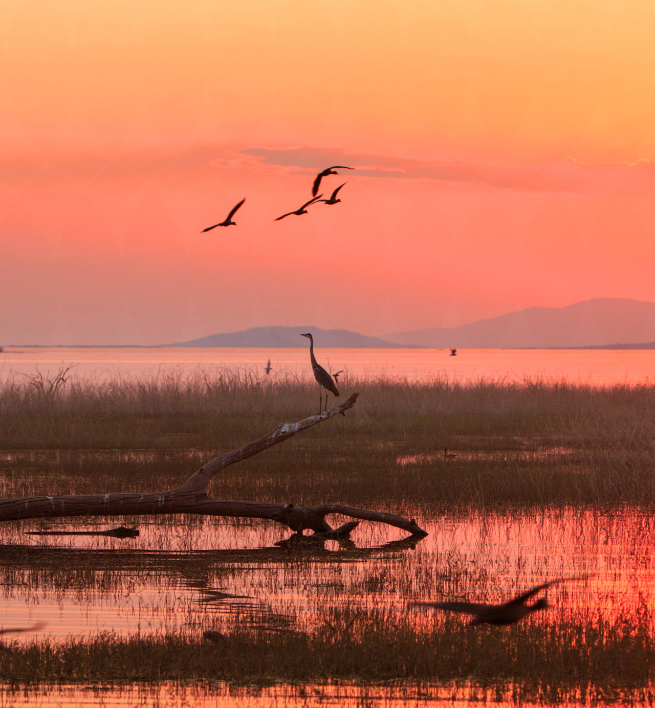 Lake Kariba