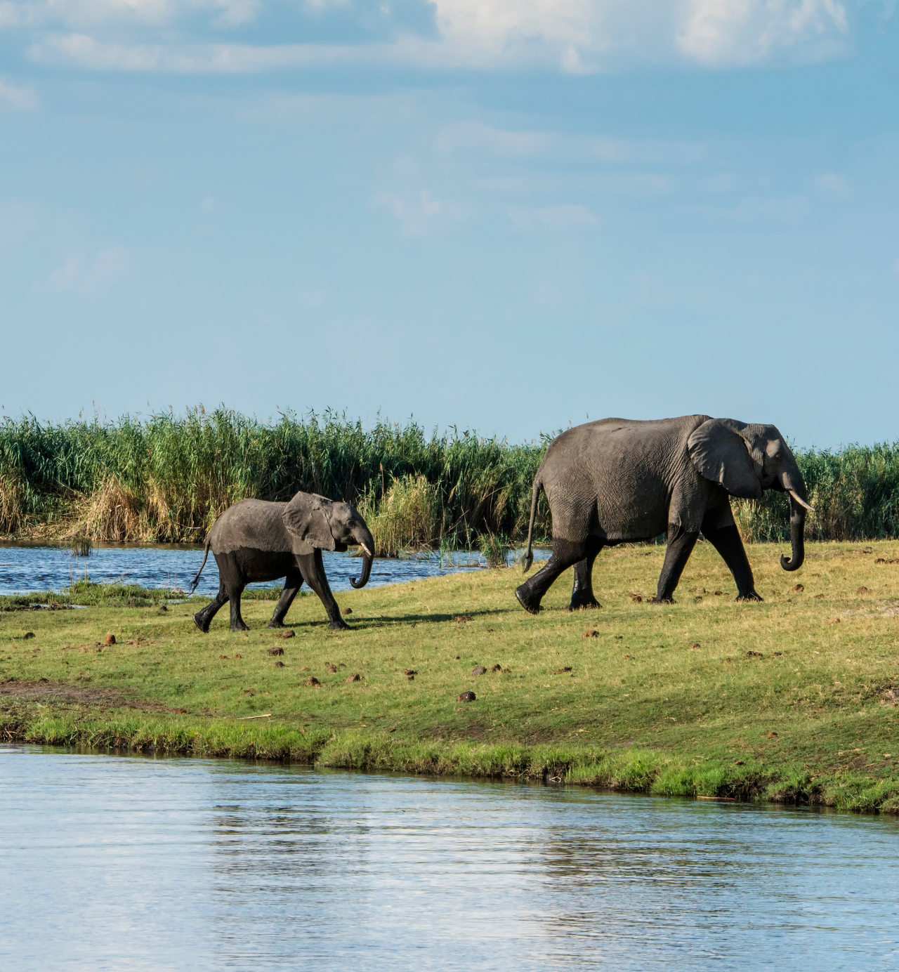 Linyanti Wildlife Reserve