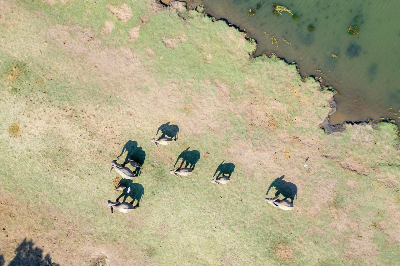 Game Drive Chongwe Camp Time Tide Oliver Fly Photography 22