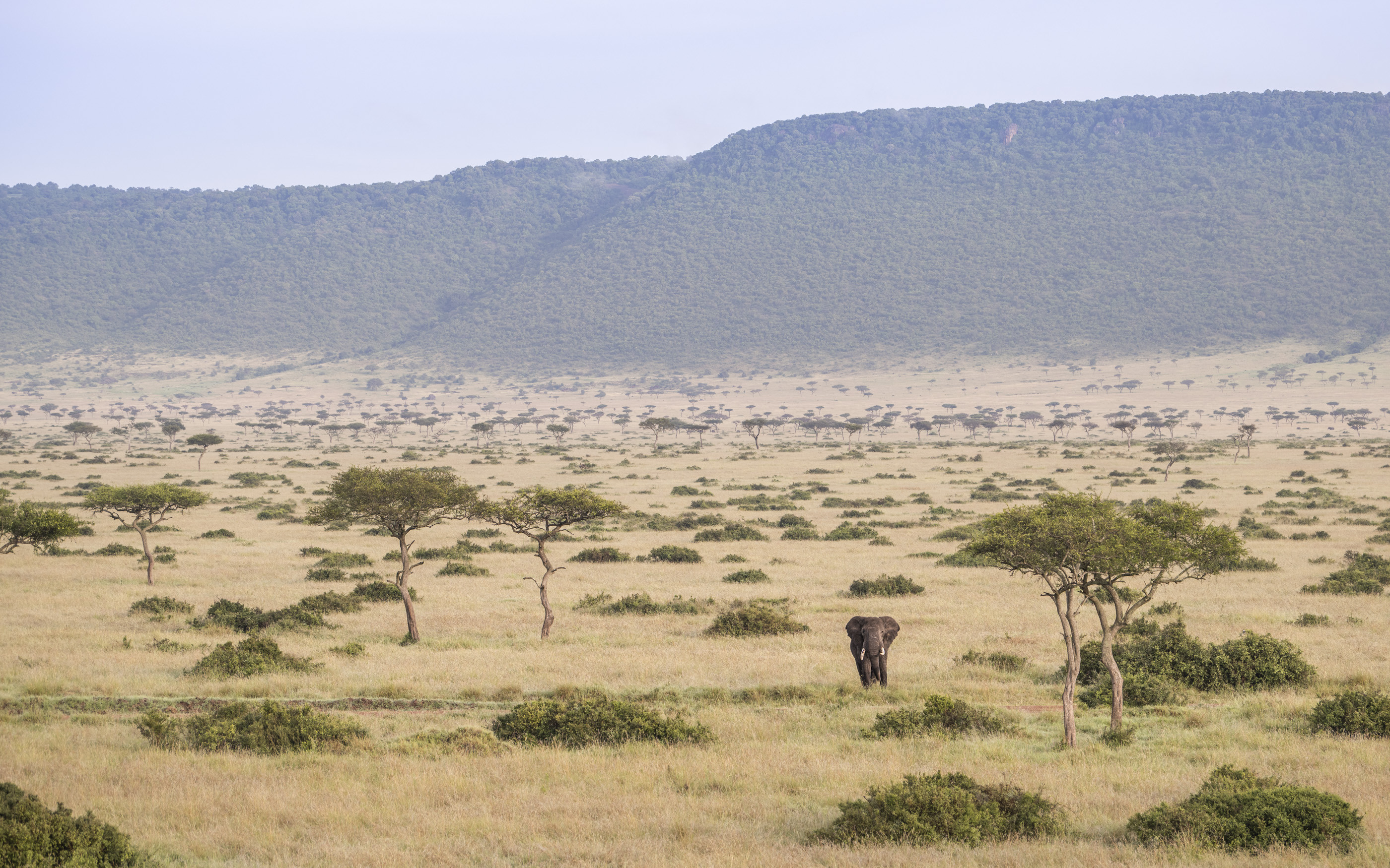 Masai Mara National Reserve