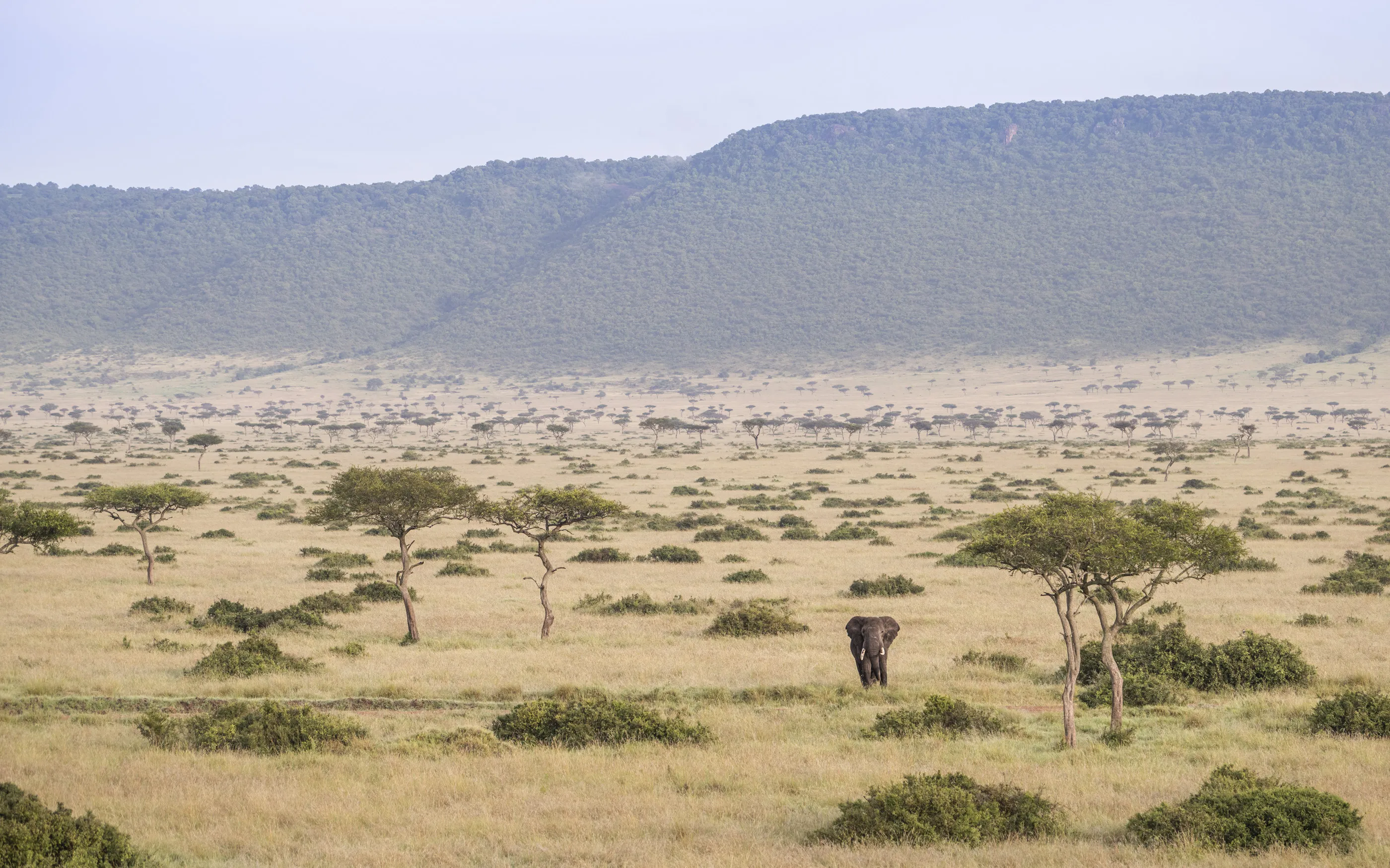 Masai Mara National Reserve