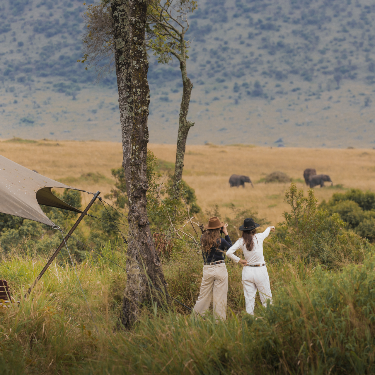 Angama Safari Camp Wildlife Tent