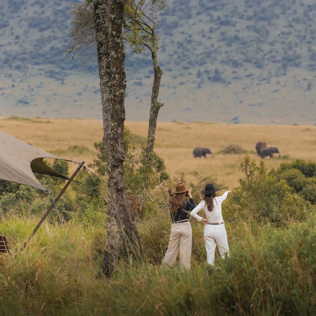 Angama Safari Camp Wildlife Tent