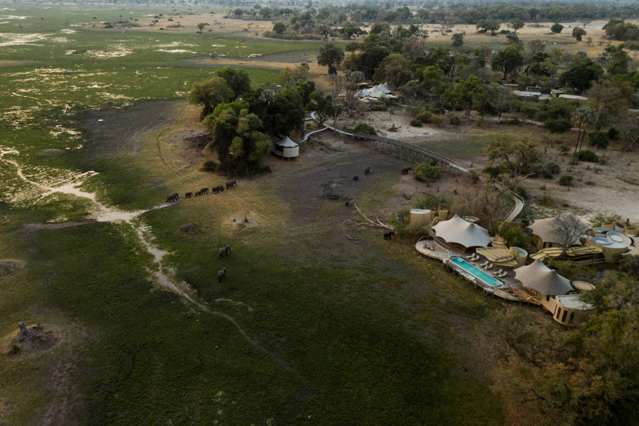 Wilderness Botswana Mombo Sanctuary Botswana 09 25 Flink 42