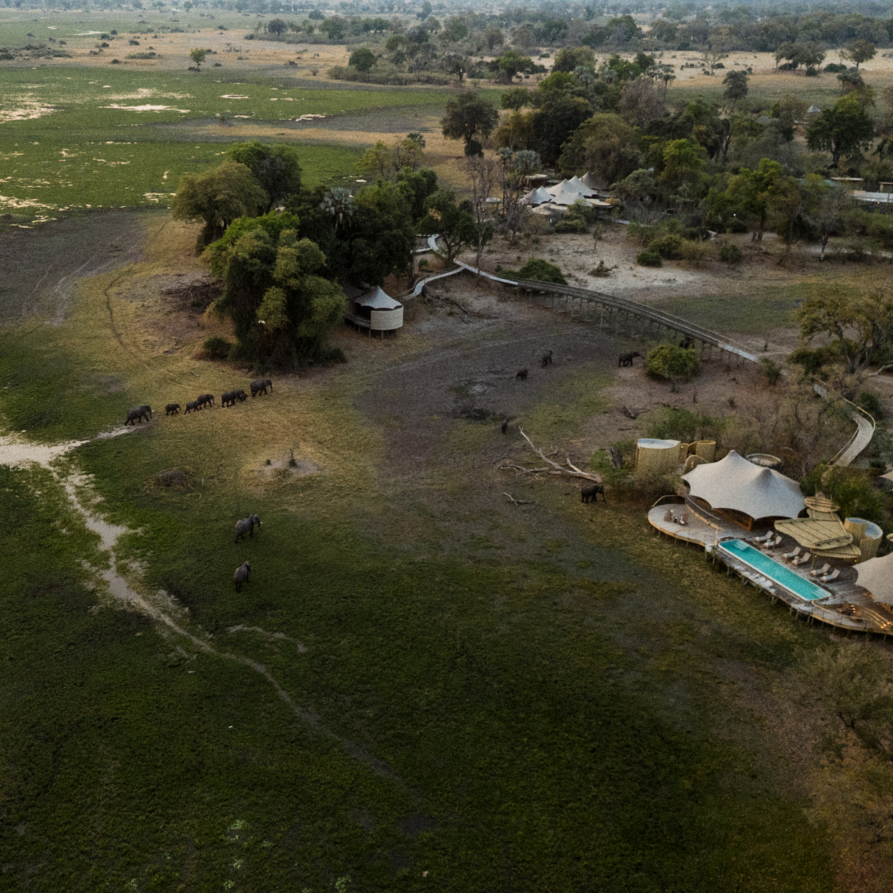 Wilderness Botswana Mombo Sanctuary Botswana 09 25 Flink 42