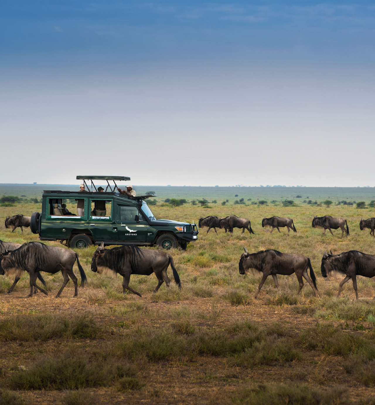 Serengeti National Reserve
