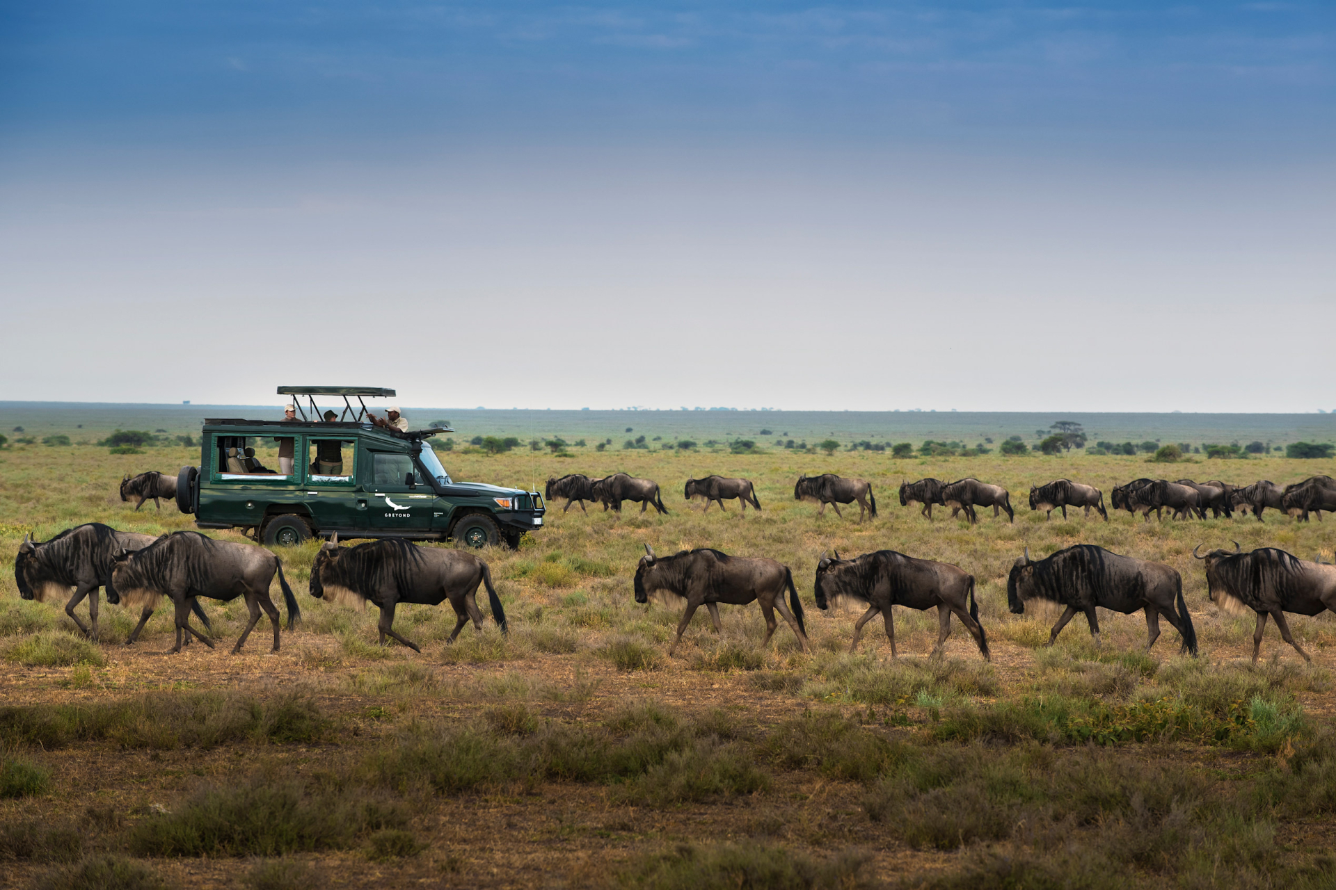 Serengeti National Park