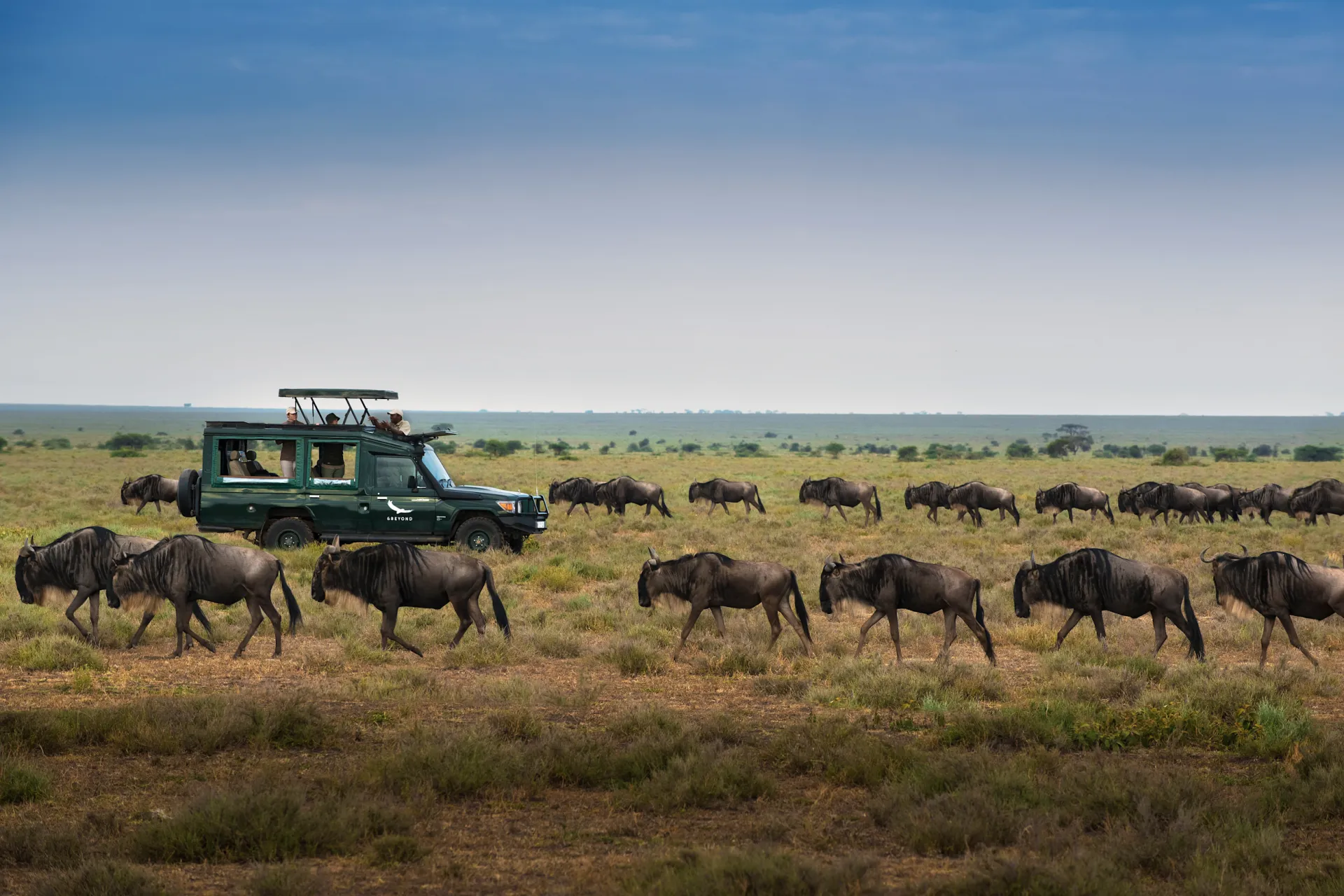 Serengeti National Reserve