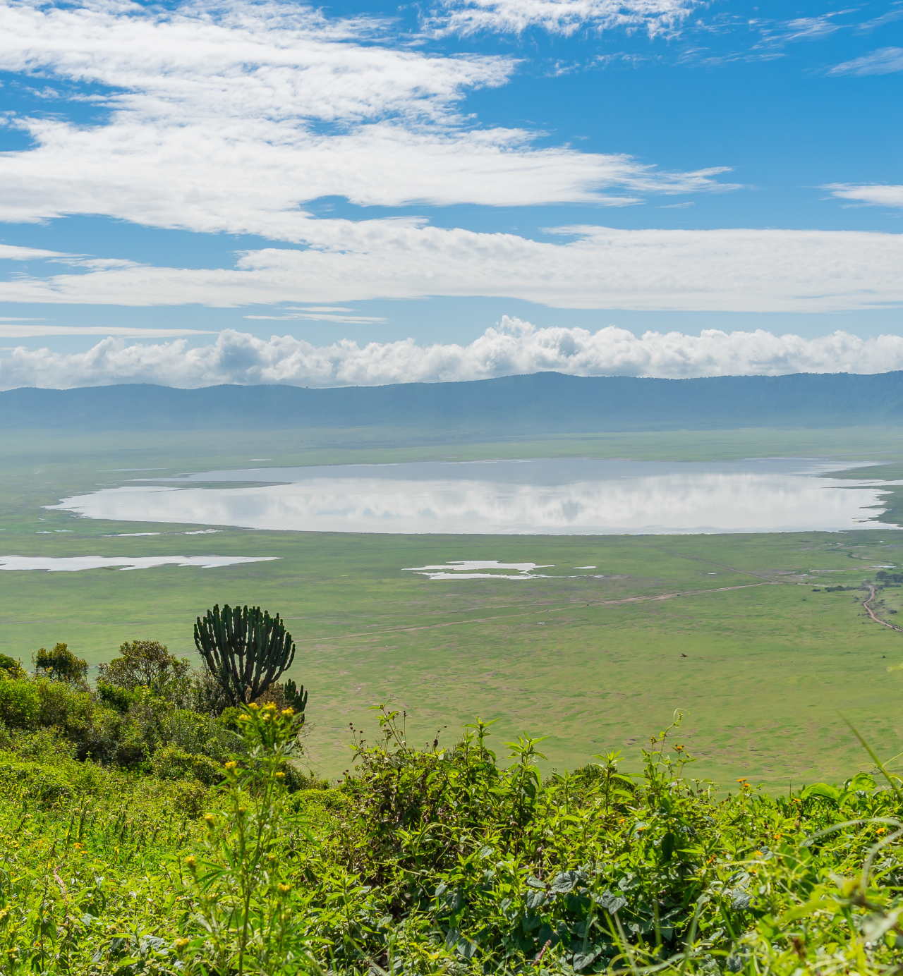 Ngorongoro Conservation Area