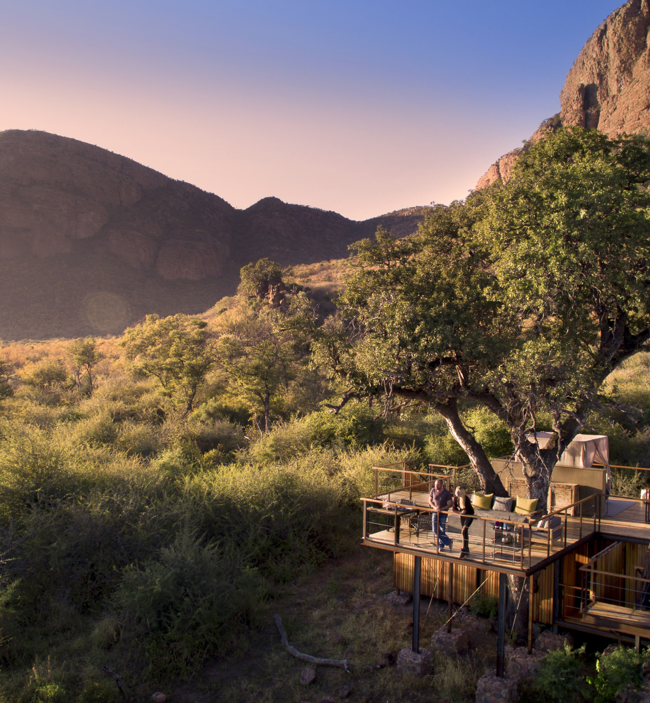 Big Five treehouse experience