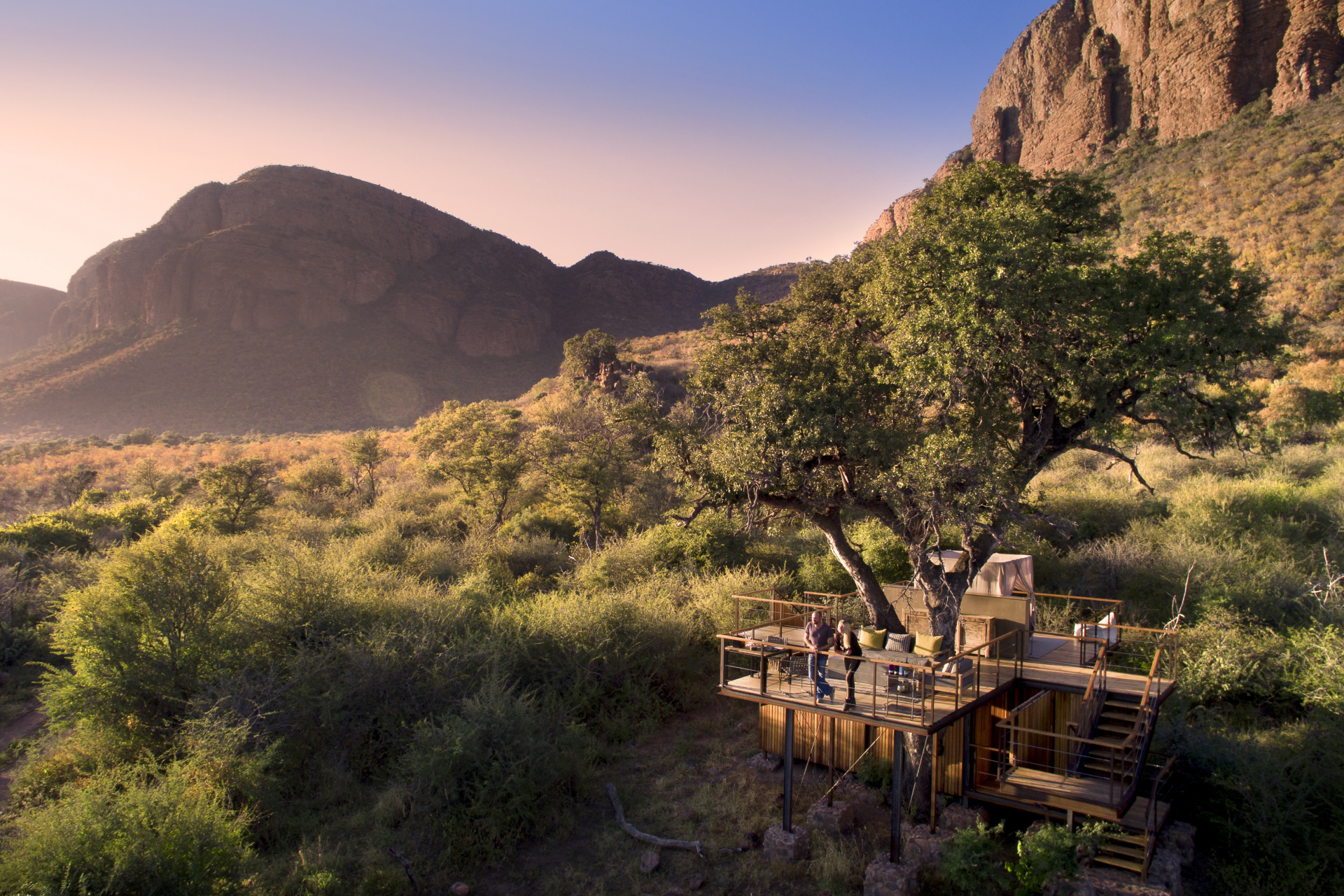 Big Five treehouse experience