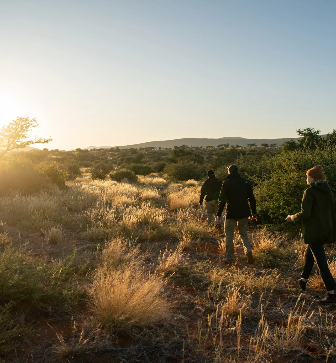 Tracking Africa’s most elusive species on foot