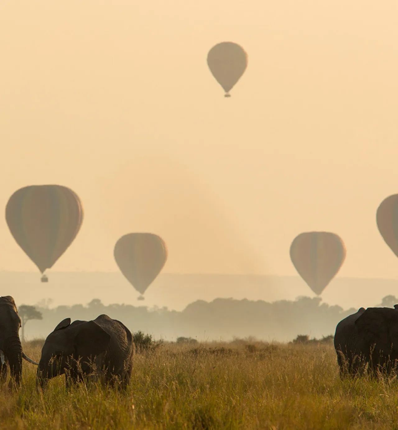 Ballooning over the Serengeti or Mara