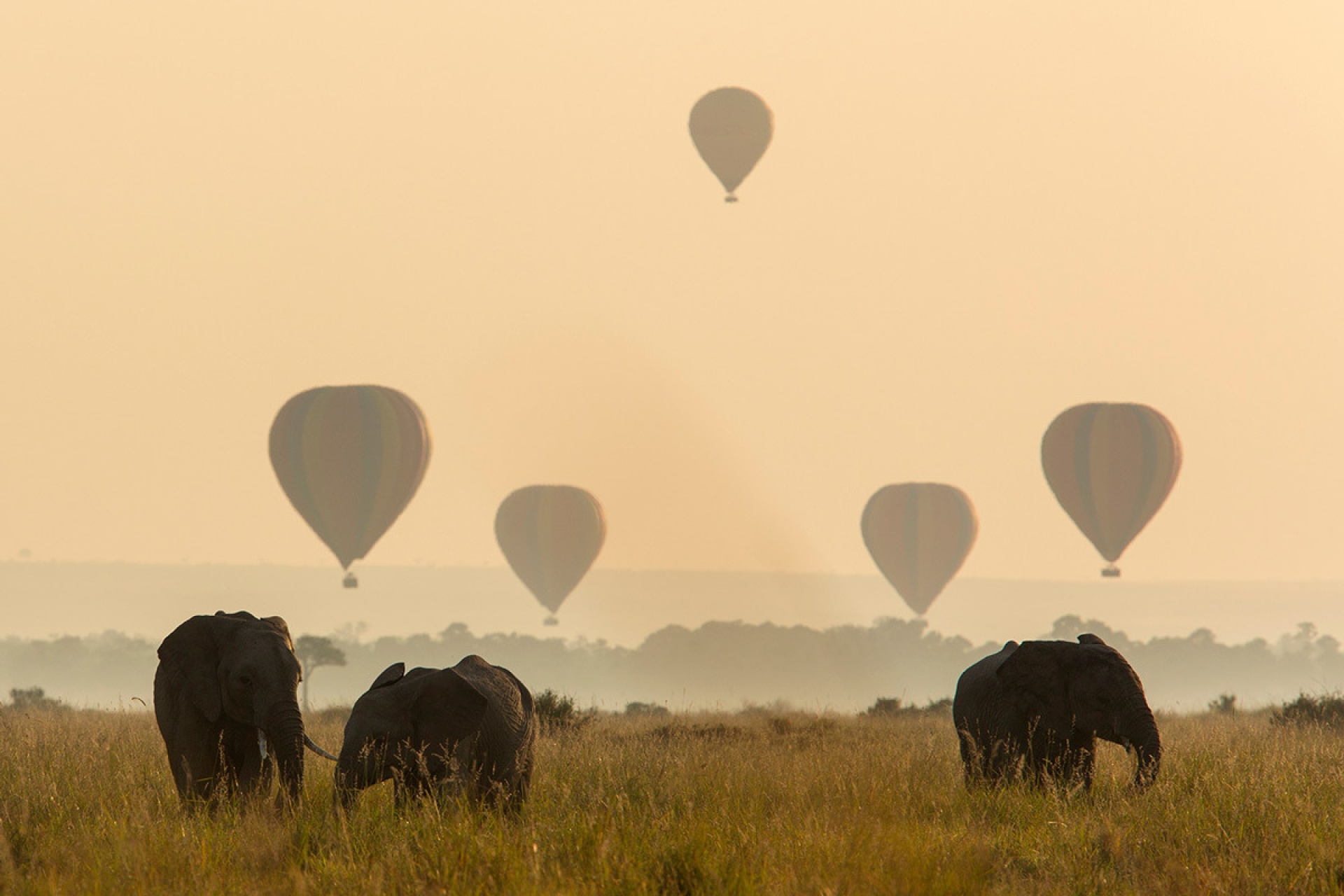 Ballooning over the Serengeti or Mara