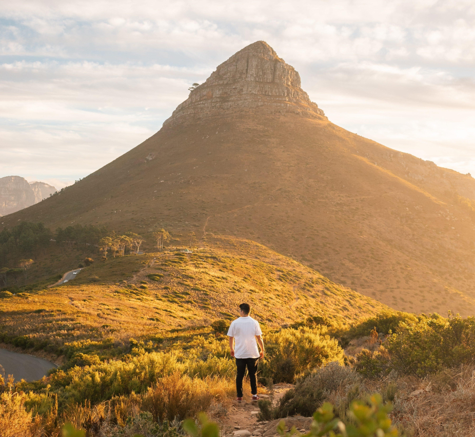 Foraging on Table Mountain Lions Head Shutterstock approved