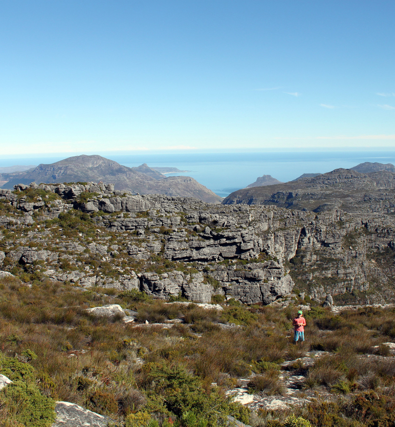 Hiking Table Mountain with a botanist or forager