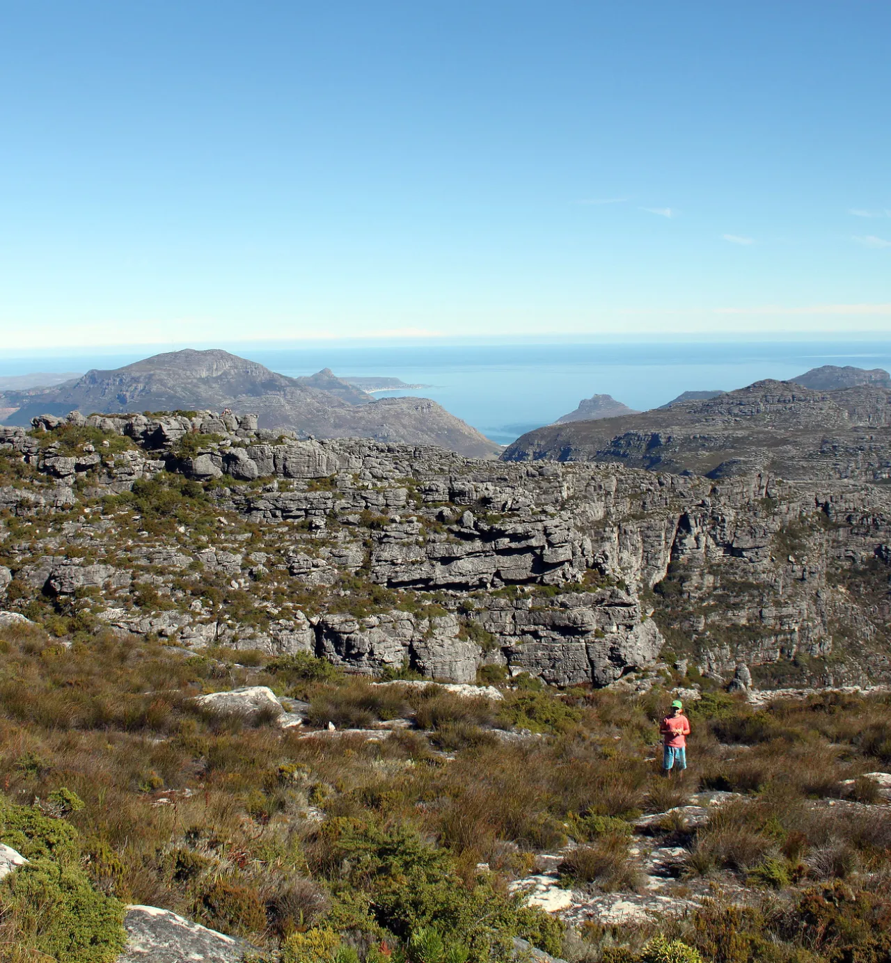 Hiking Table Mountain with a botanist or forager