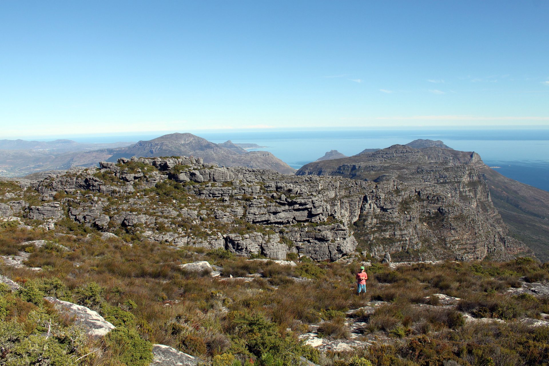 Hiking Table Mountain with a botanist or forager