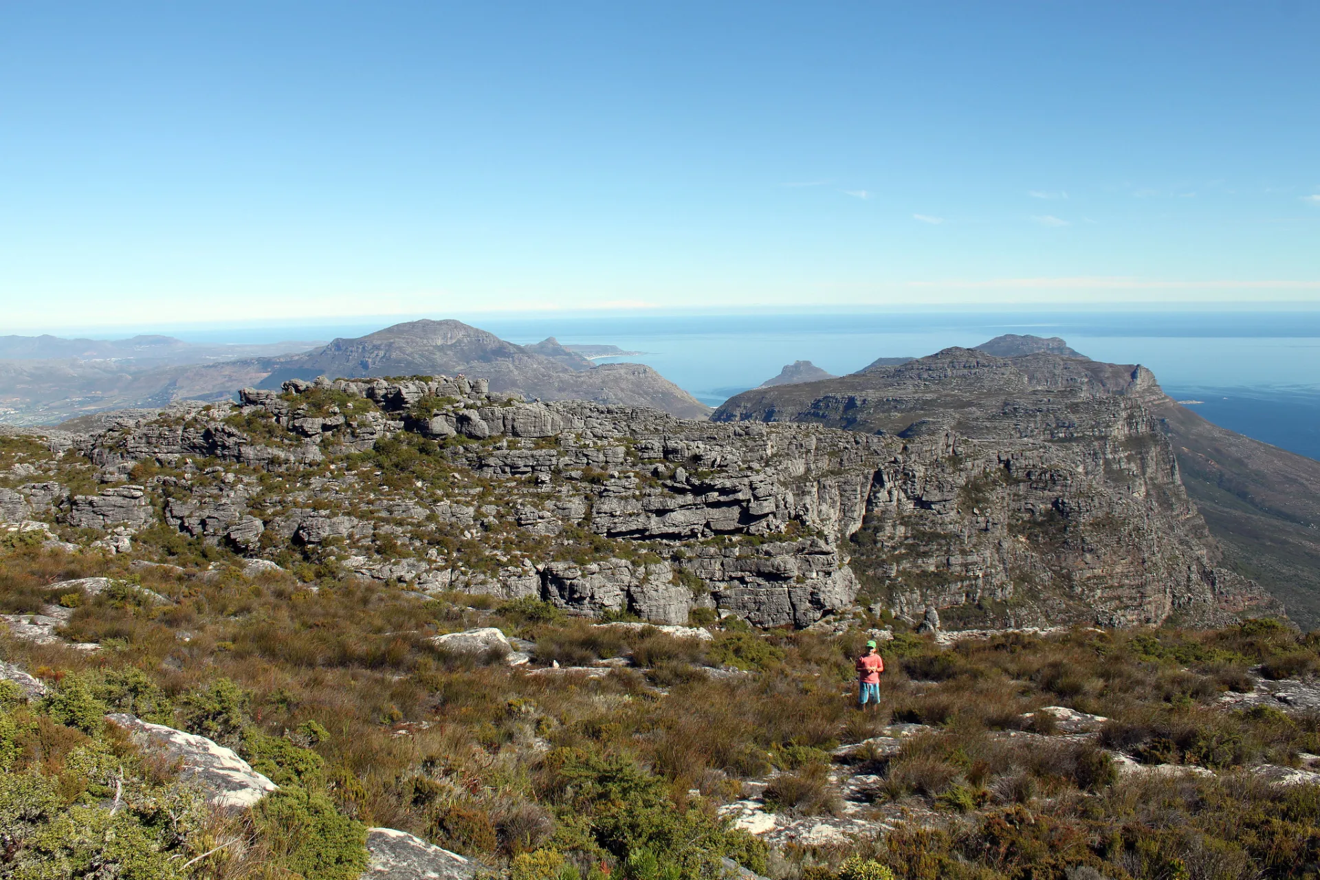 Hiking Table Mountain with a botanist or forager