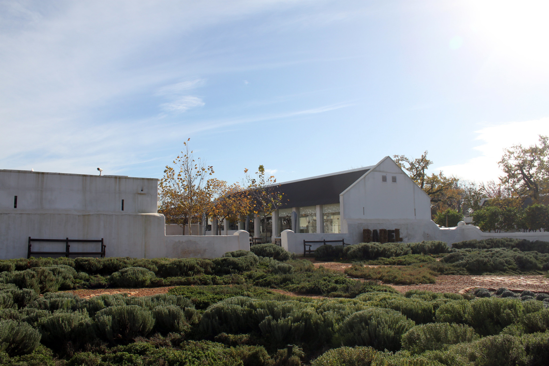 A day in the life of a working wine farm