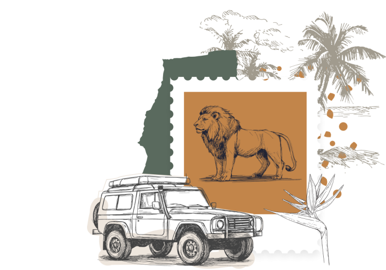 Meet your Travel Architect