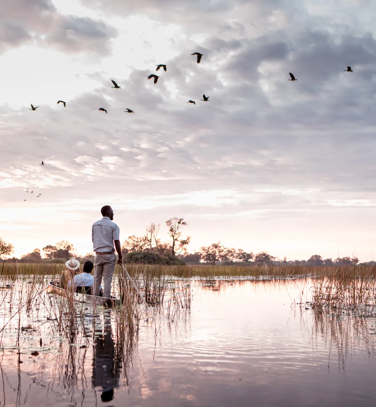 Wildlife and rivers