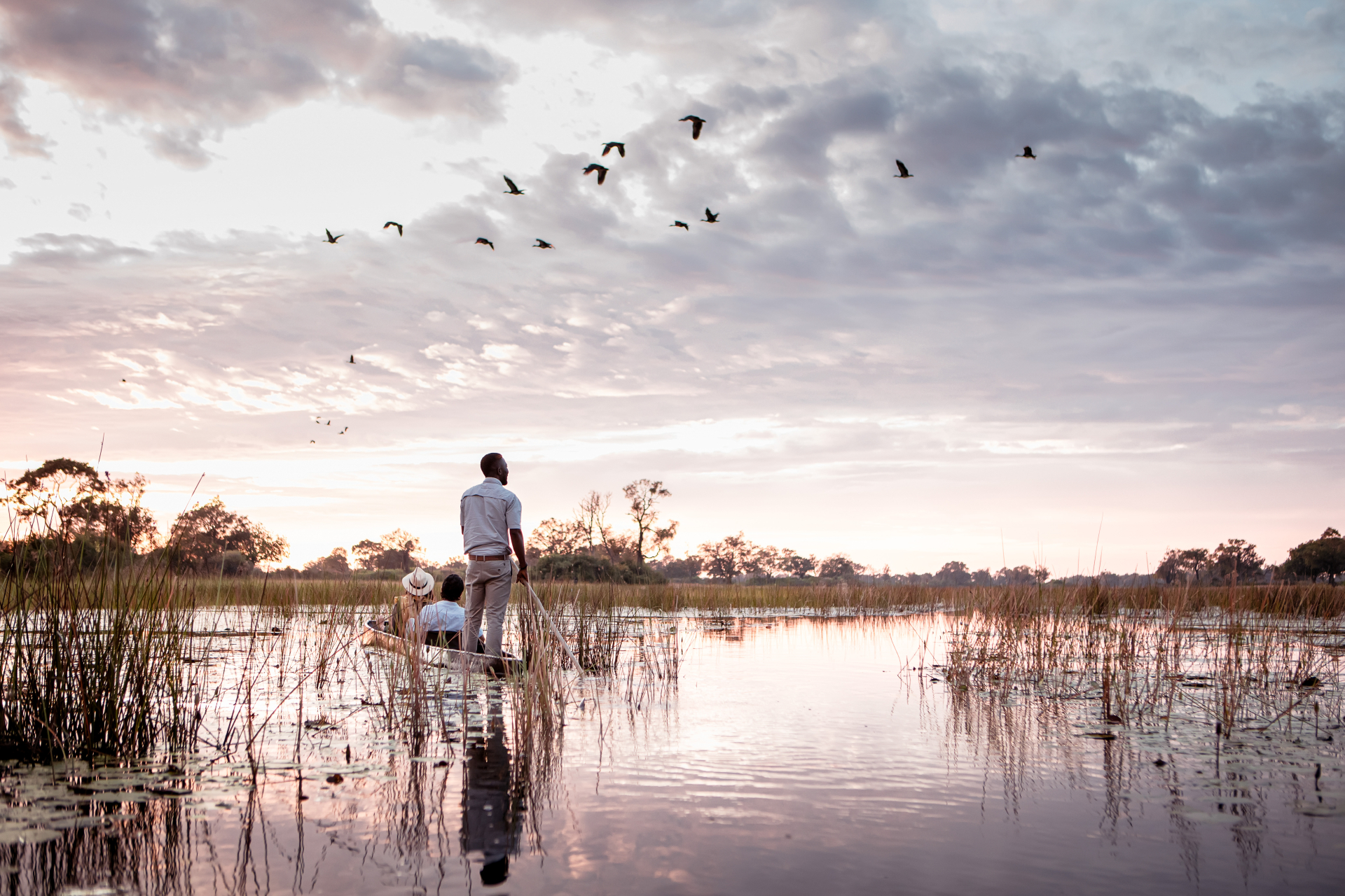 Wildlife and rivers