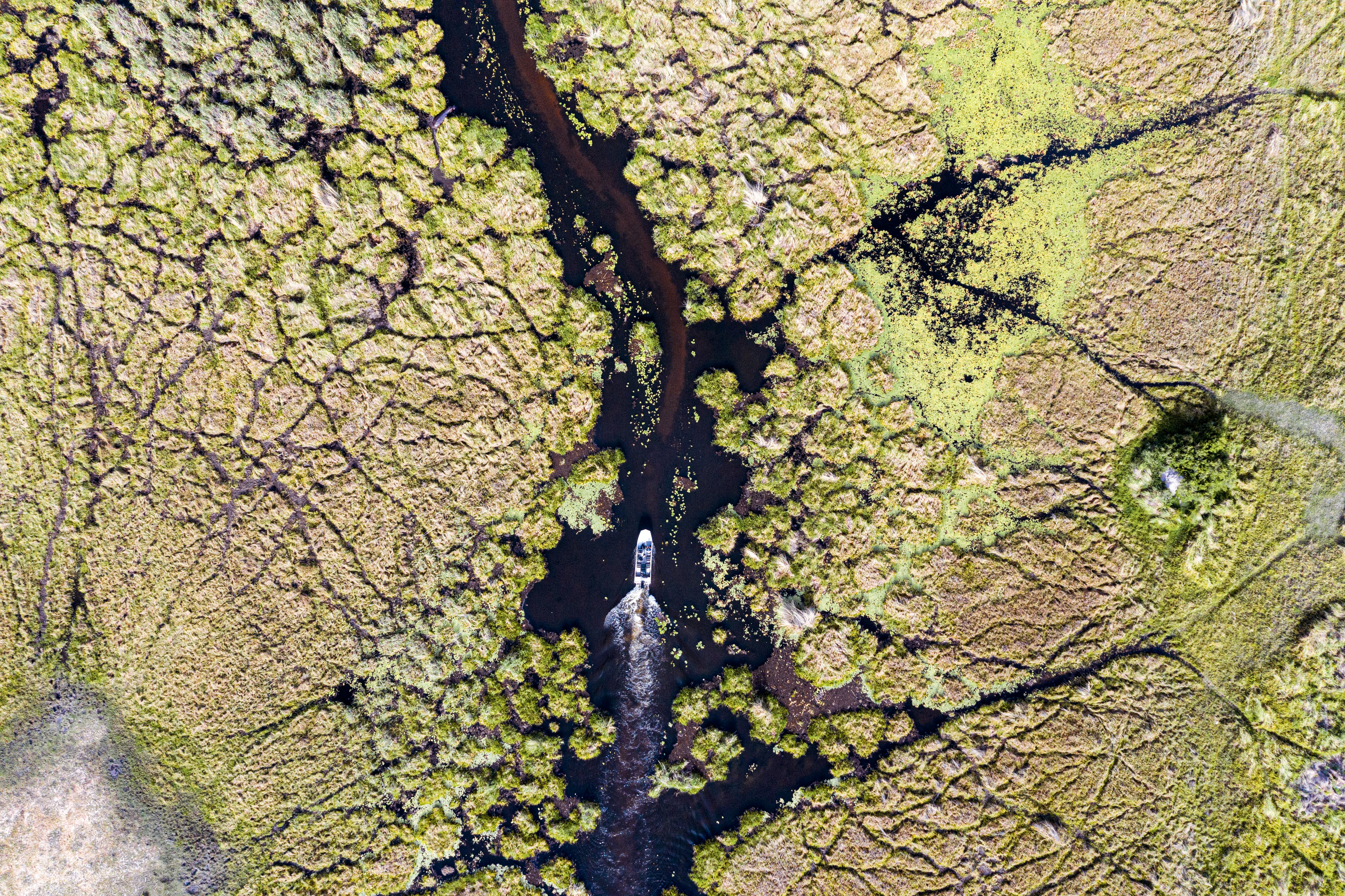 Okavango Delta