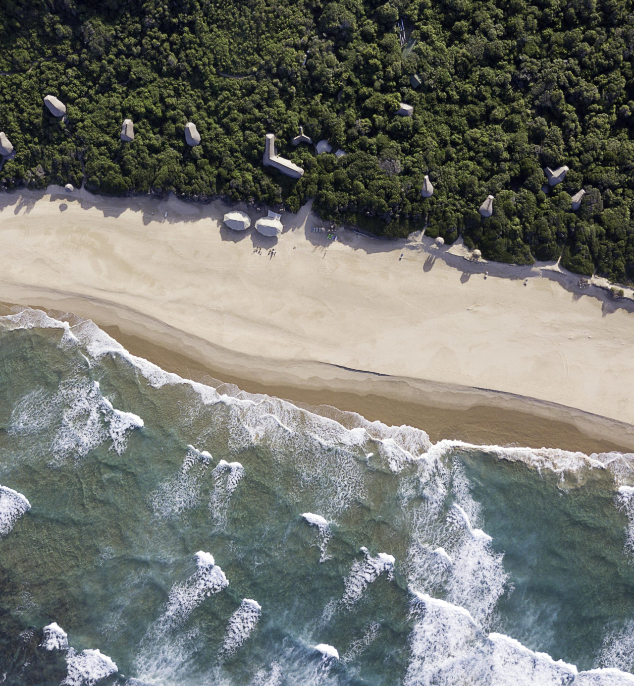 Bush meets beach