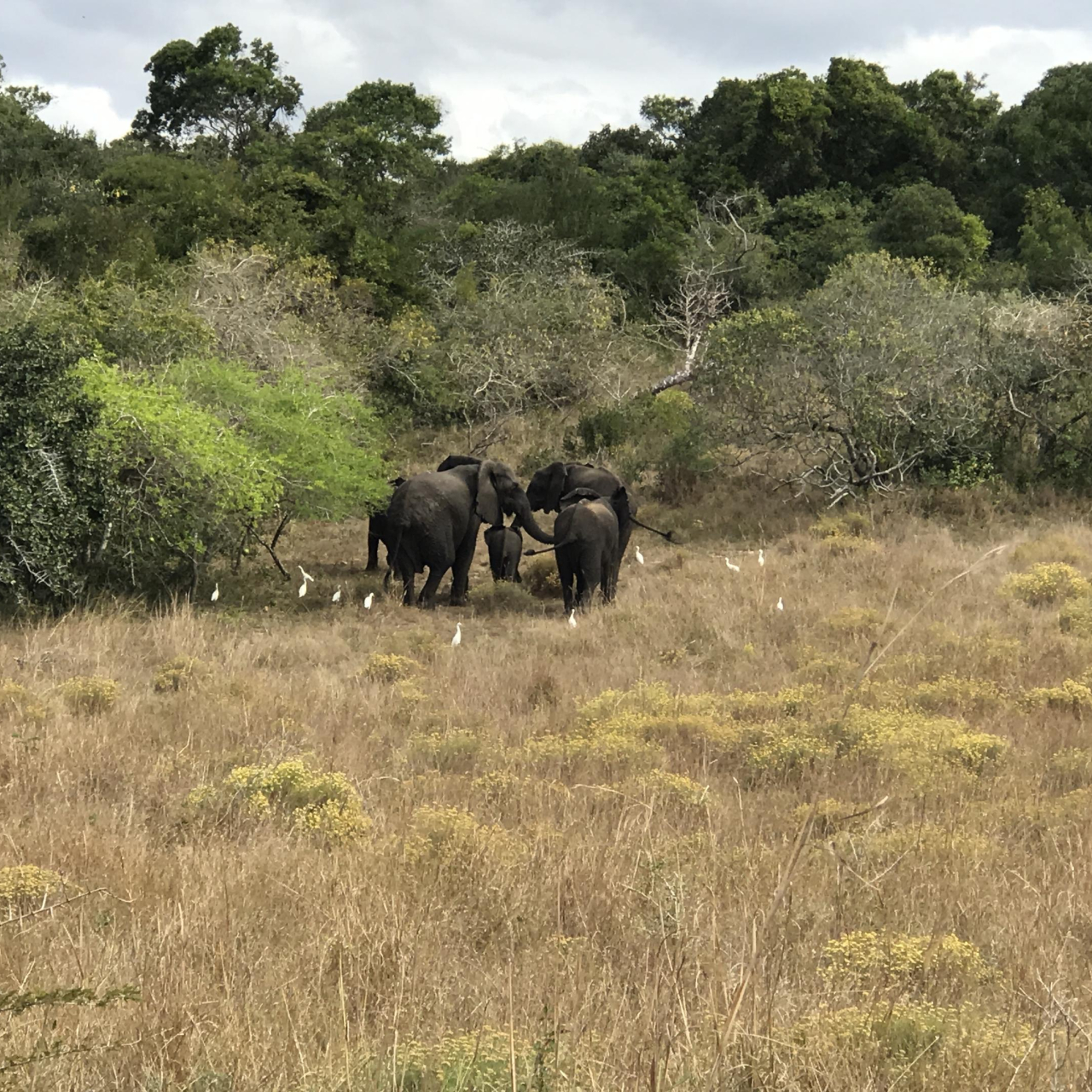 GALLERY Maputo Special Reserve