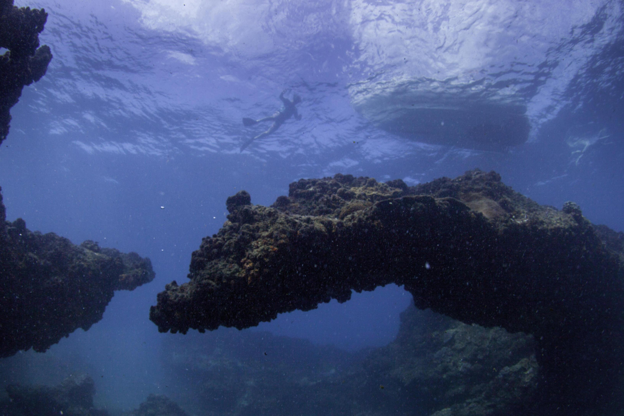 GALLERY Ocean Activity