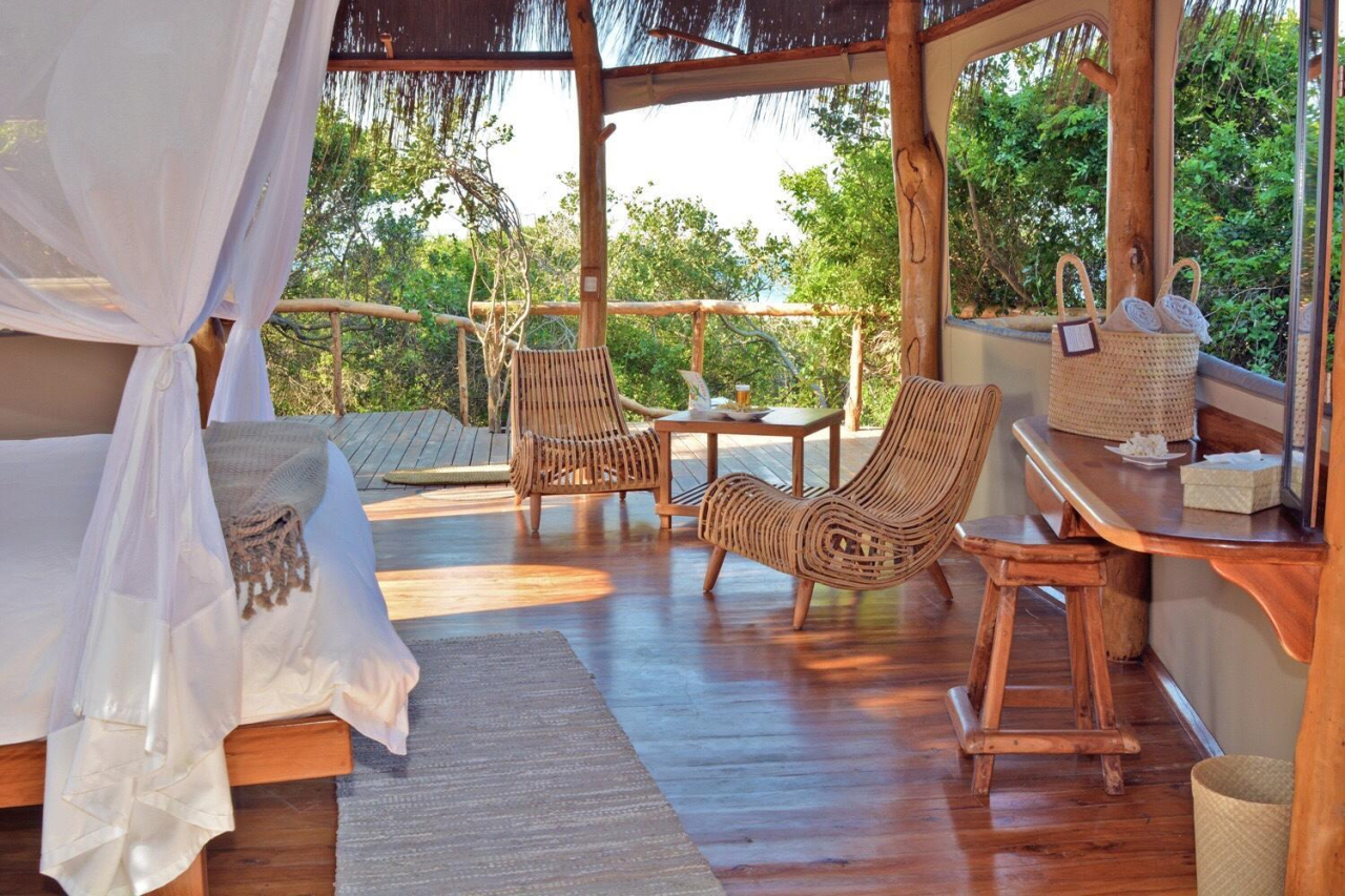 LODGE SHOT Forest Casinha