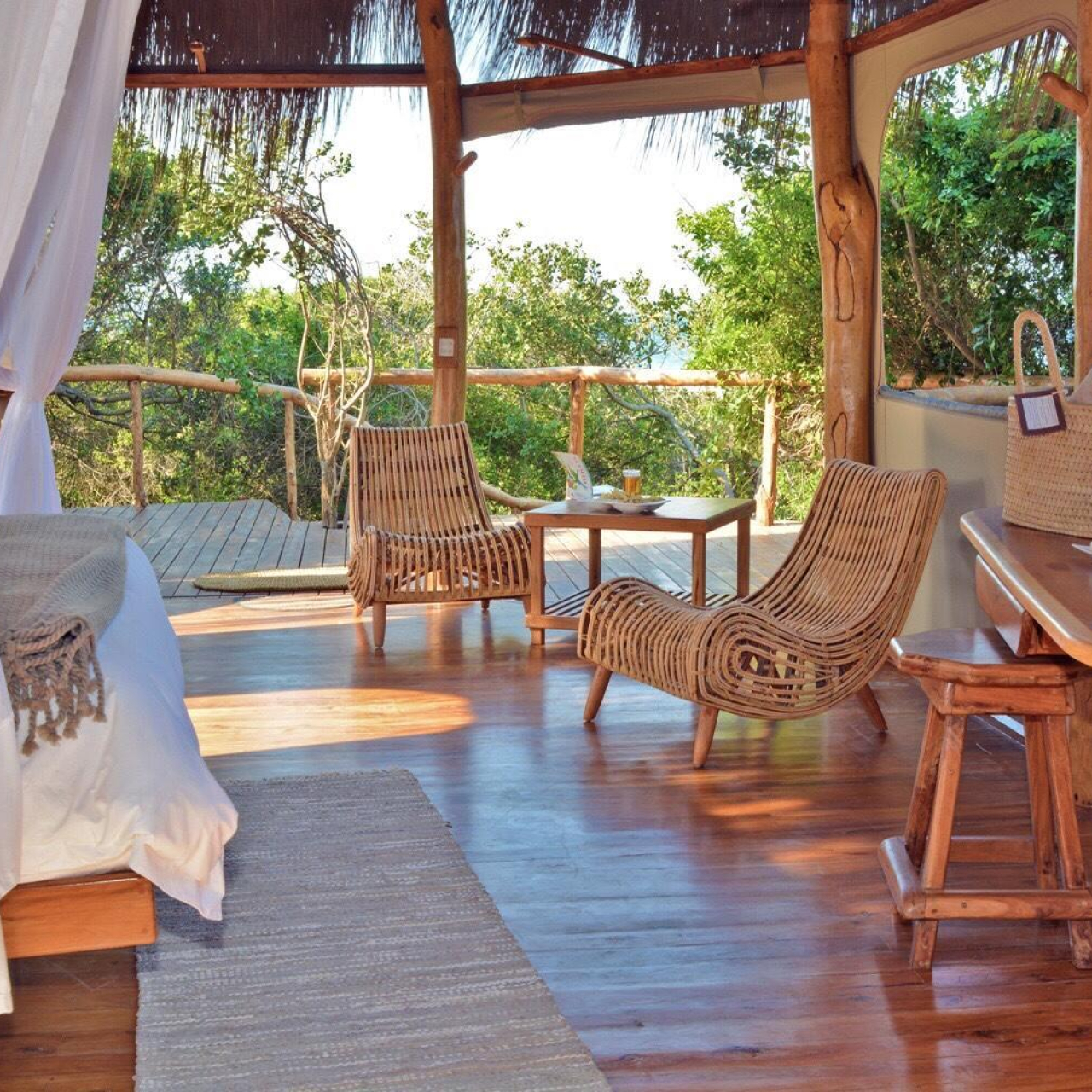 LODGE SHOT Forest Casinha