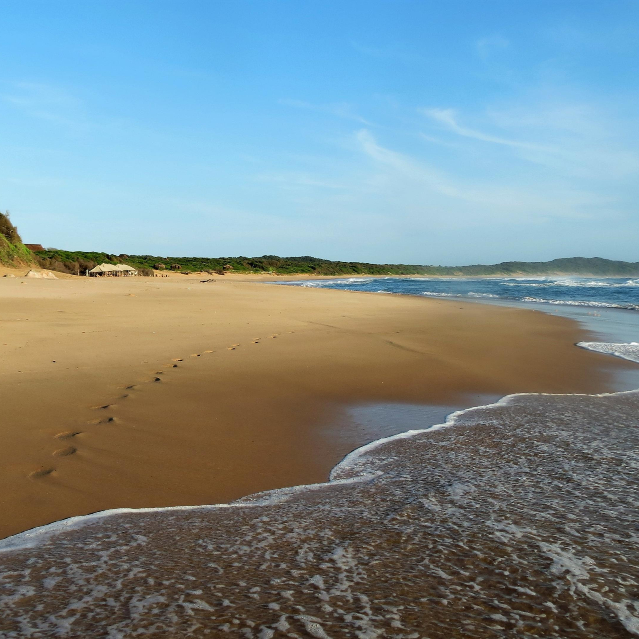 MAIN SHOT Beach Activity 1