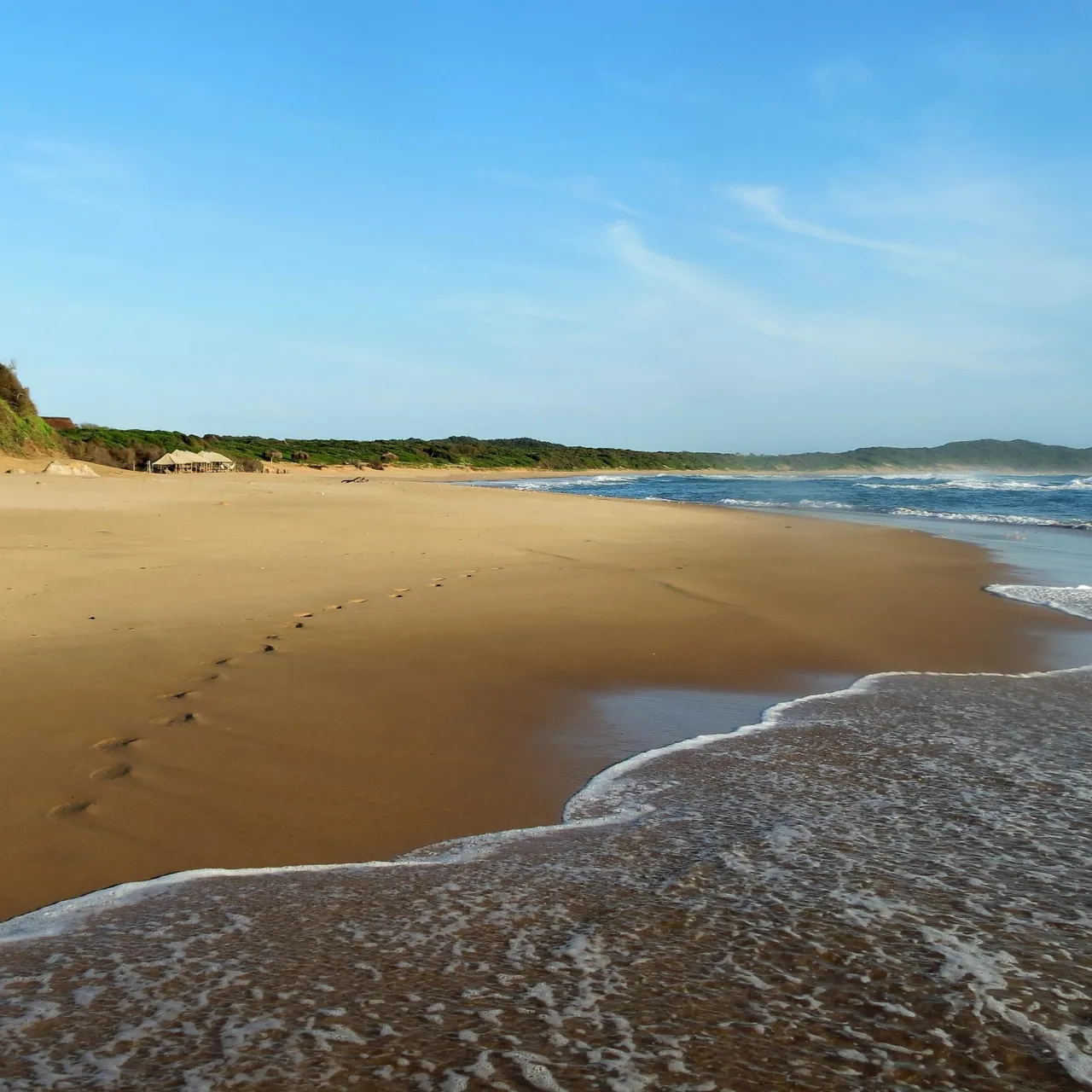 MAIN SHOT Beach Activity 1