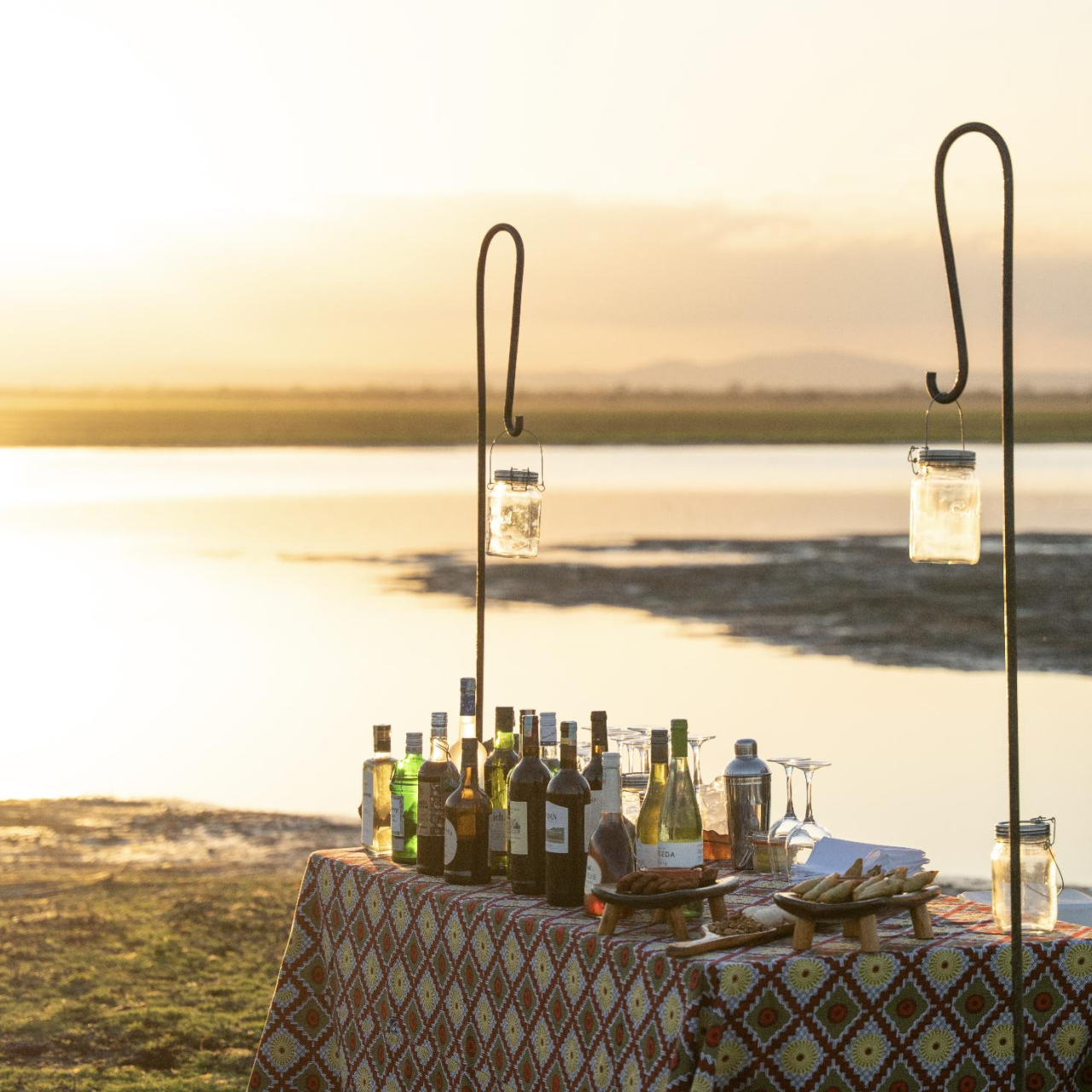 GALLERY Gorongosa Safaris 14