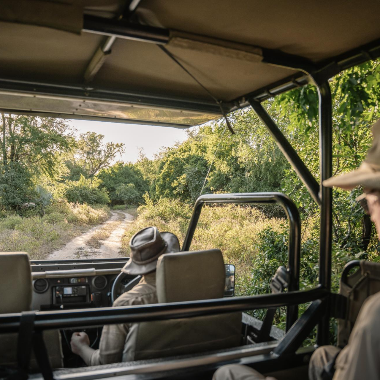 GALLERY Gorongosa Safaris 7