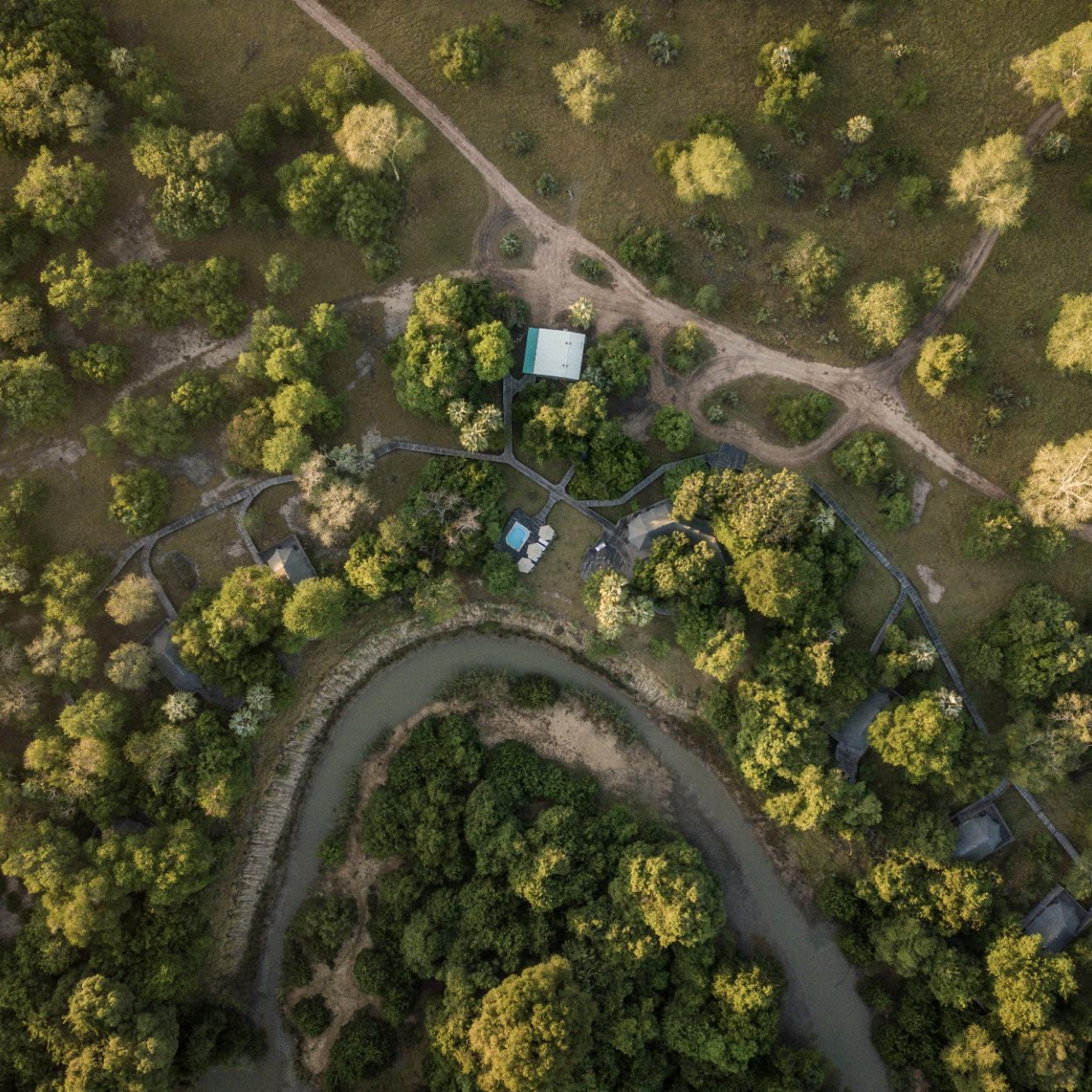 GALLERY Gorongosa Safaris 1
