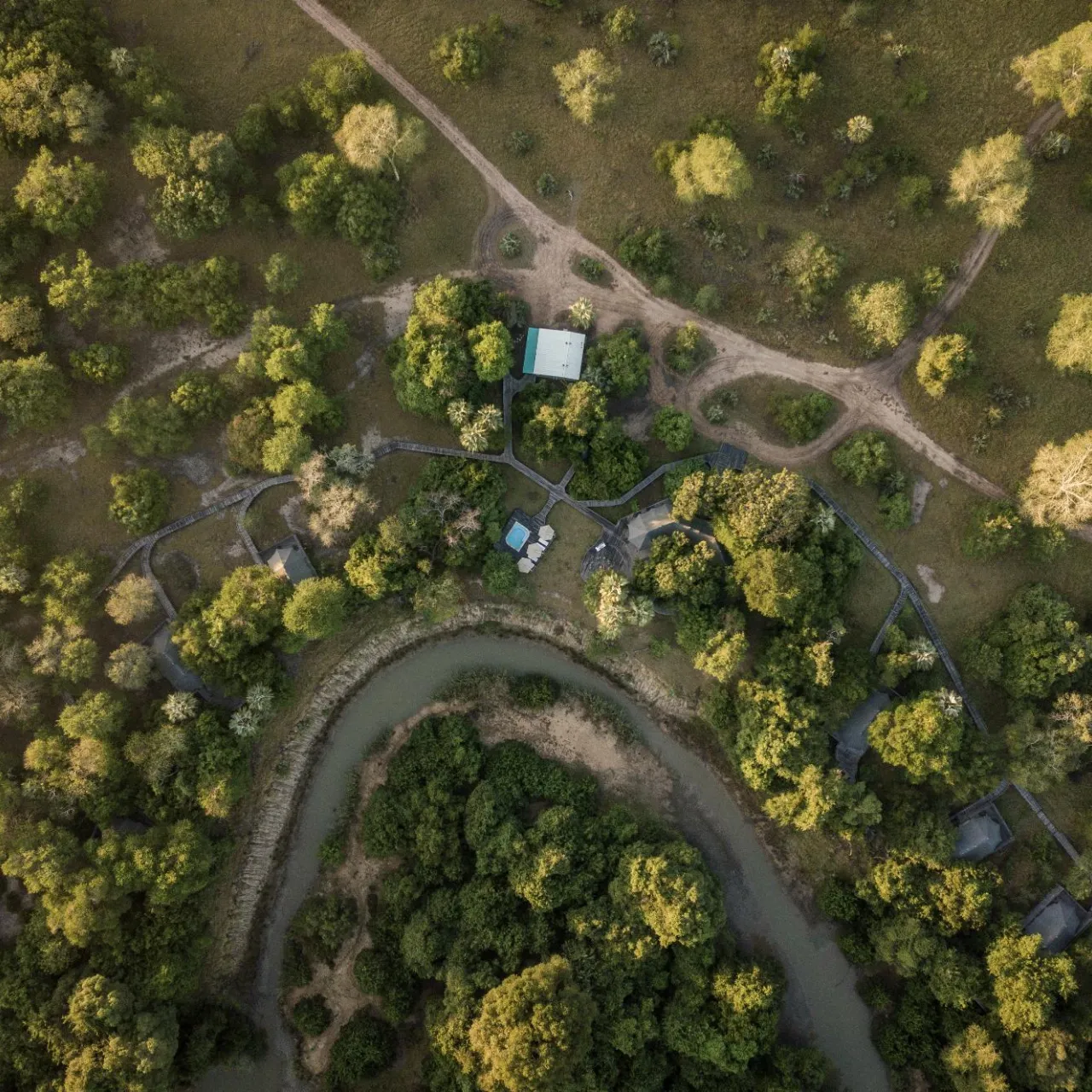 GALLERY Gorongosa Safaris 1
