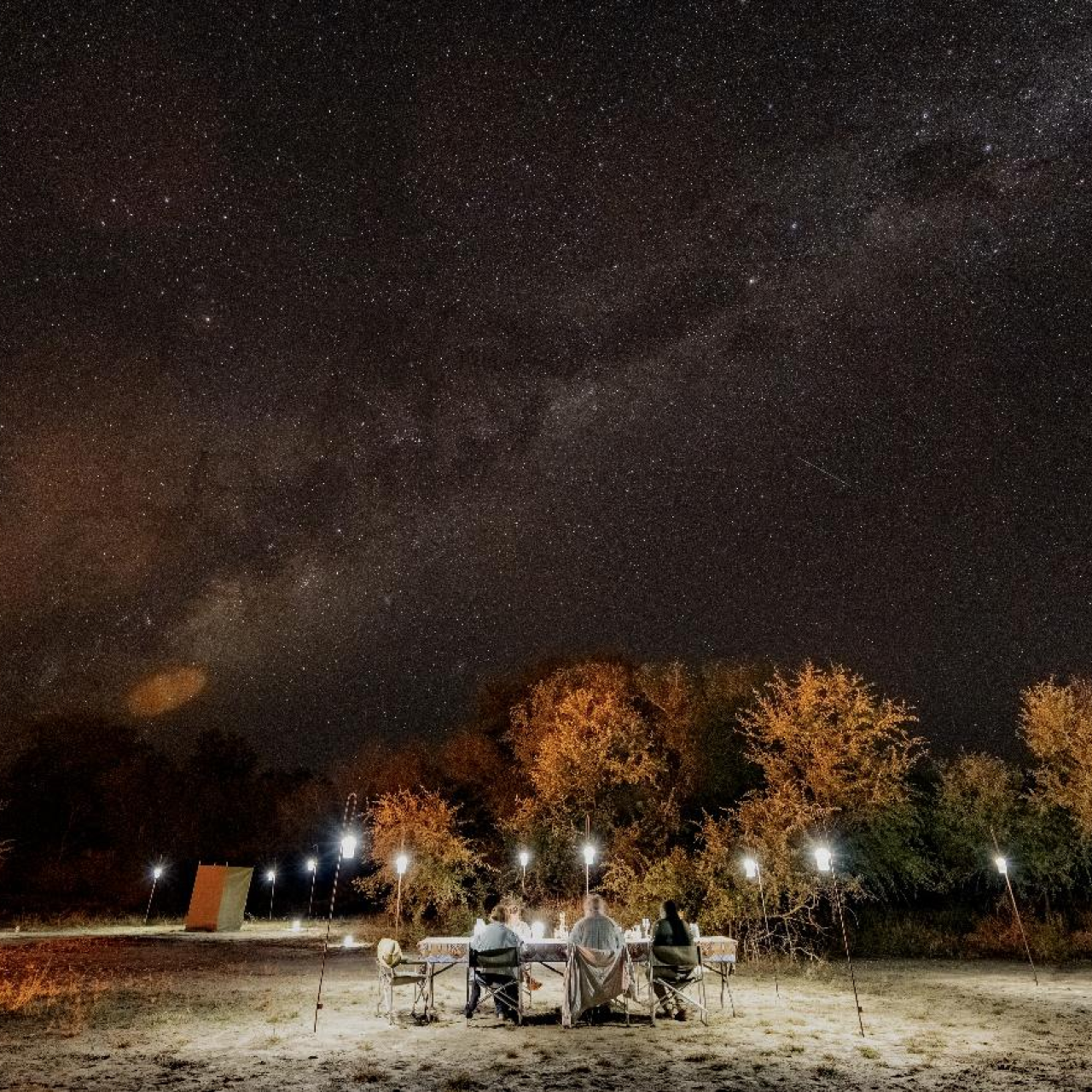 GALLERY Gorongosa Safaris 20