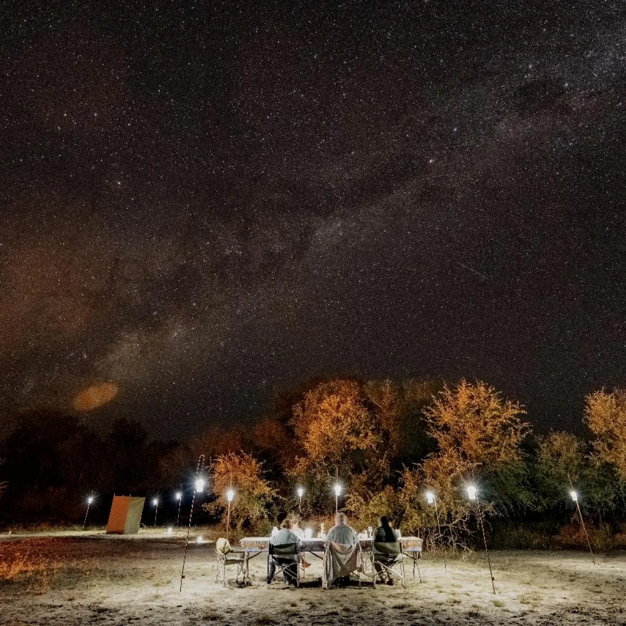 GALLERY Gorongosa Safaris 20