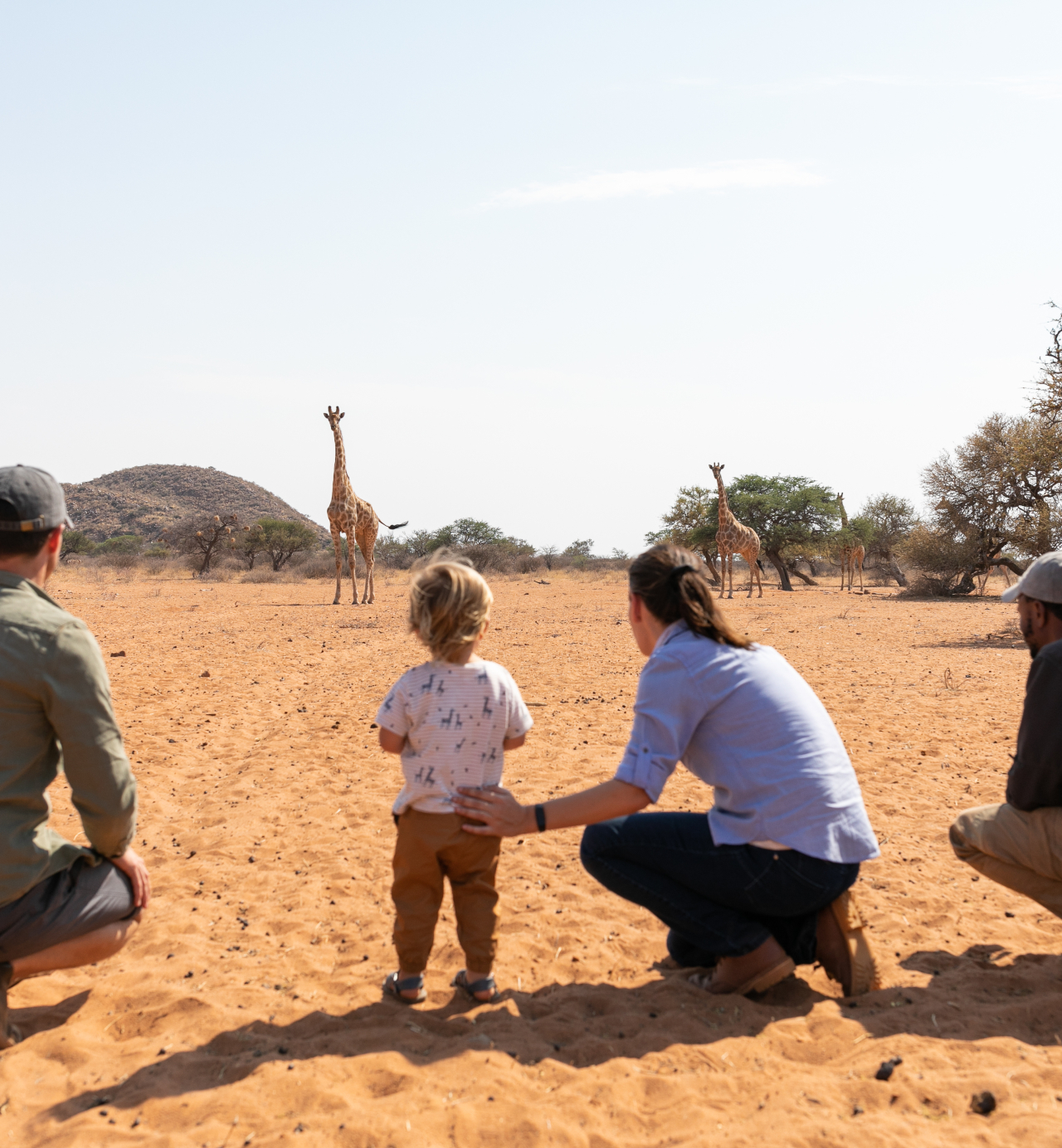 Cape Town, Kalahari and Waterberg